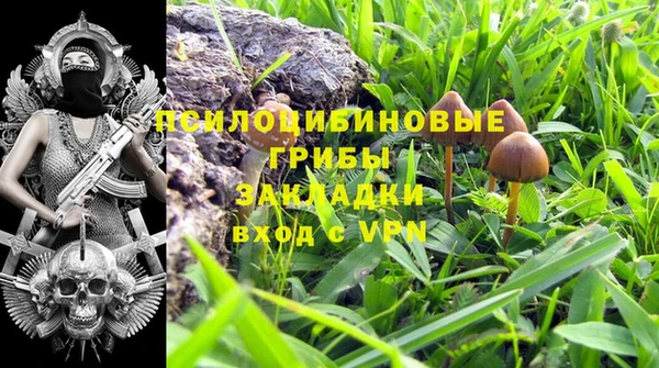 трава Алзамай