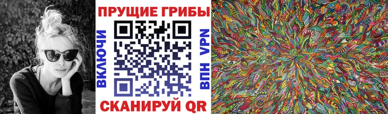Галлюциногенные грибы мицелий  mega ССЫЛКА  Пенза 